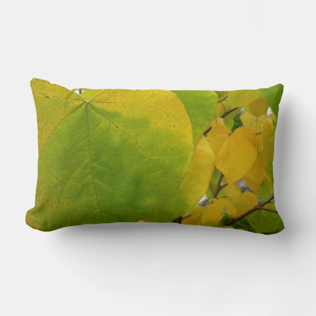 Coussin Rectangle Feuilles jaunes et vertes de Cercis (Recto)