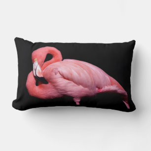 Coussin Rectangle Flamant rose rose sur noir