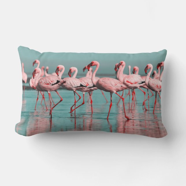 Coussin Rectangle Flamants africains sauvages (Recto)