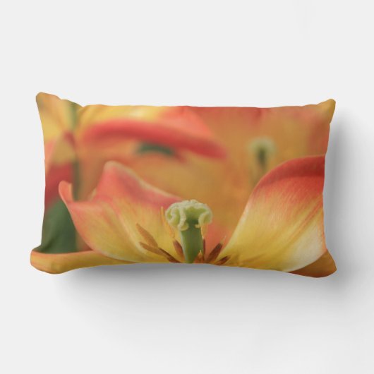 Coussin Rectangle Fleur (Recto)