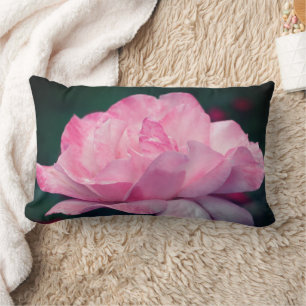 Coussin Rectangle Fleur de rose rose céleste