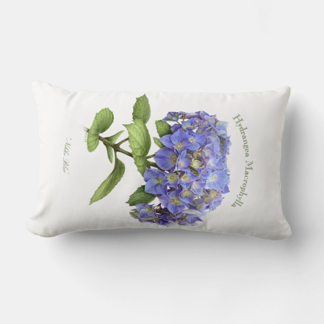 Coussin Rectangle Fleur d'hortensia bleue (Recto)