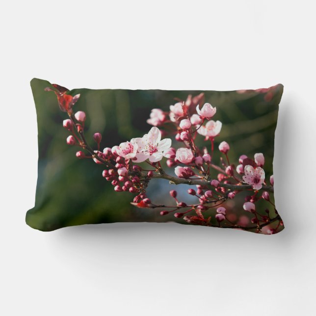 Coussin Rectangle Fleur rose dans la lumière chaude de l'été (Recto)