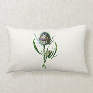 Coussin Rectangle Fleur sauvage de vieux chardon écossais du cru