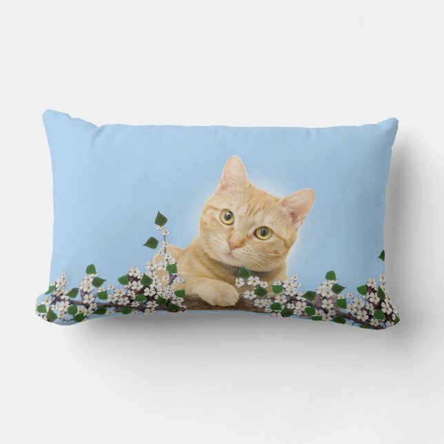 Coussin Rectangle Fleurs blanches et chat tigré roux sur fond bleu c (Recto)