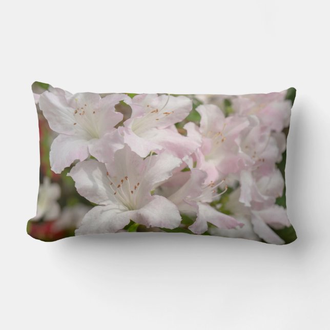 Coussin Rectangle Fleurs d'azalée roses en fleurs de printemps (Recto)
