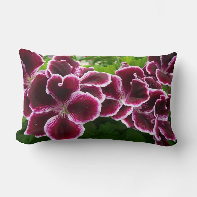 Coussin Rectangle Fleurs de géranium Regal Élégant Maroon Floral Lug (Recto)