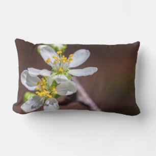 Coussin Rectangle Fleurs de prune