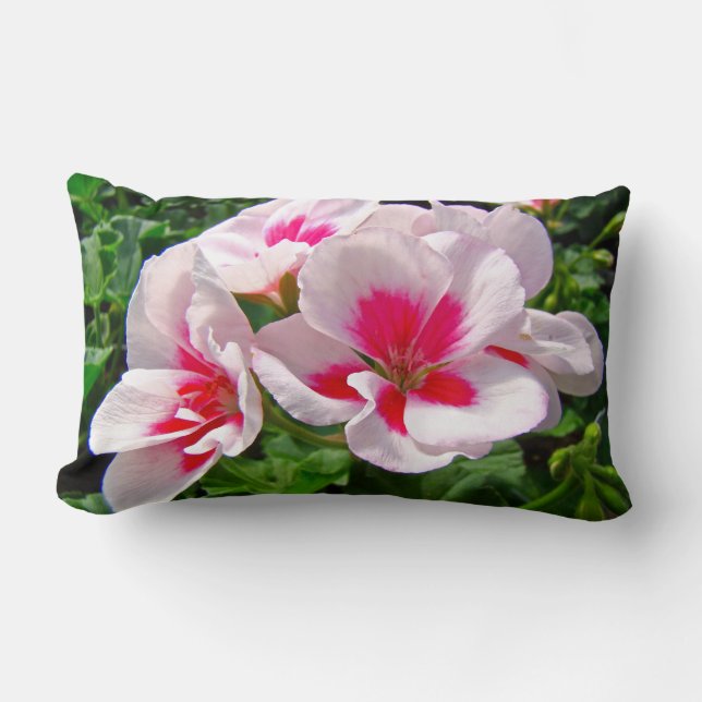 Coussin Rectangle Floral de géranium rose et rouge (Recto)