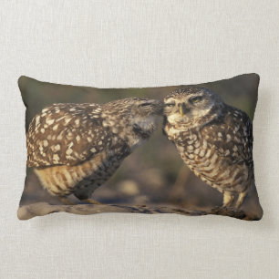 Coussin Rectangle Floride, Fort Myers. Chouette brulante liaison pai