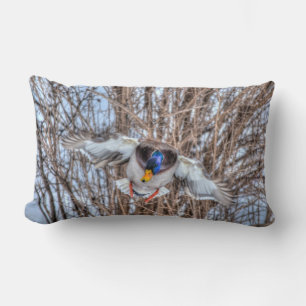 Coussin Rectangle Flying Mallard Duck Drake Wildlife Photo