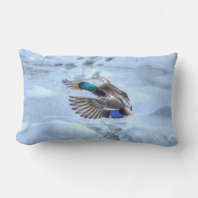 Coussin Rectangle Flying Mallard Duck Drake Wildlife Photo (Recto)