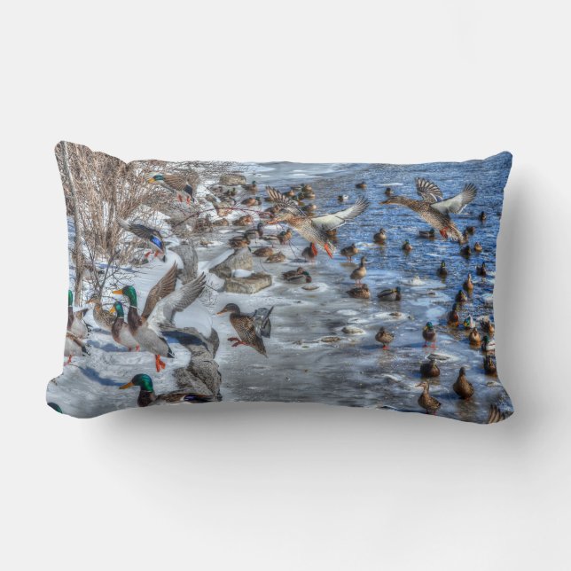 Coussin Rectangle Flying Mallard Ducks & Drake Wildlife Photo (Recto)