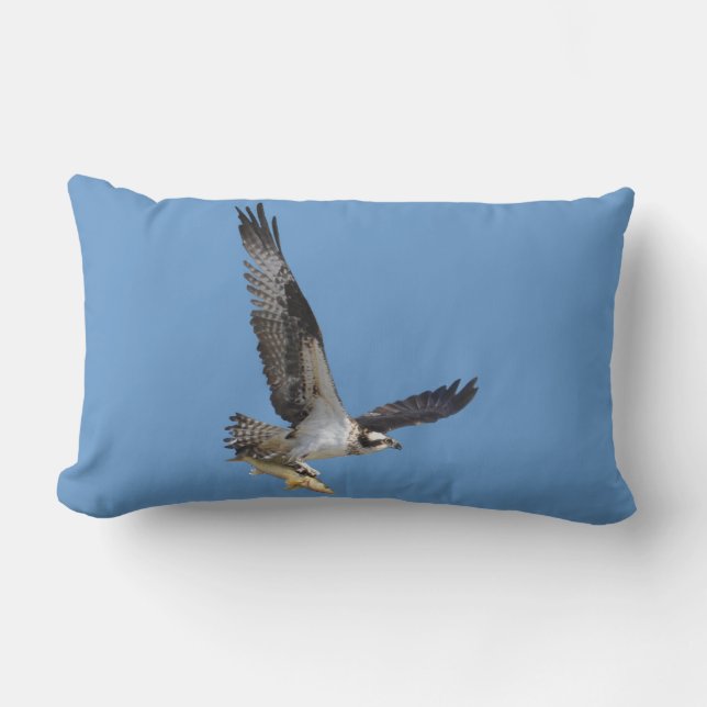 Coussin Rectangle Flying Osprey & Fish Wildlife Photography (Recto)