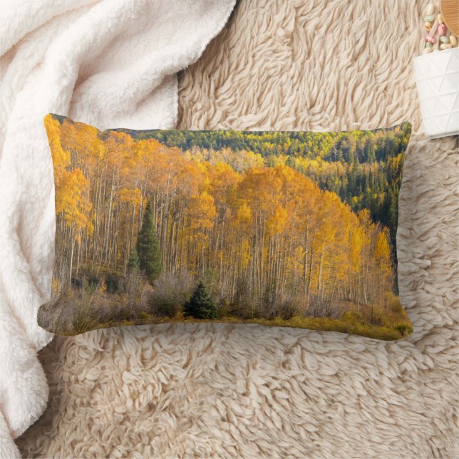 Coussin Rectangle Forêt nationale de Gunnison (Couverture)