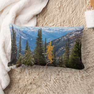 Coussin Rectangle Forêt nationale de Wenatchee
