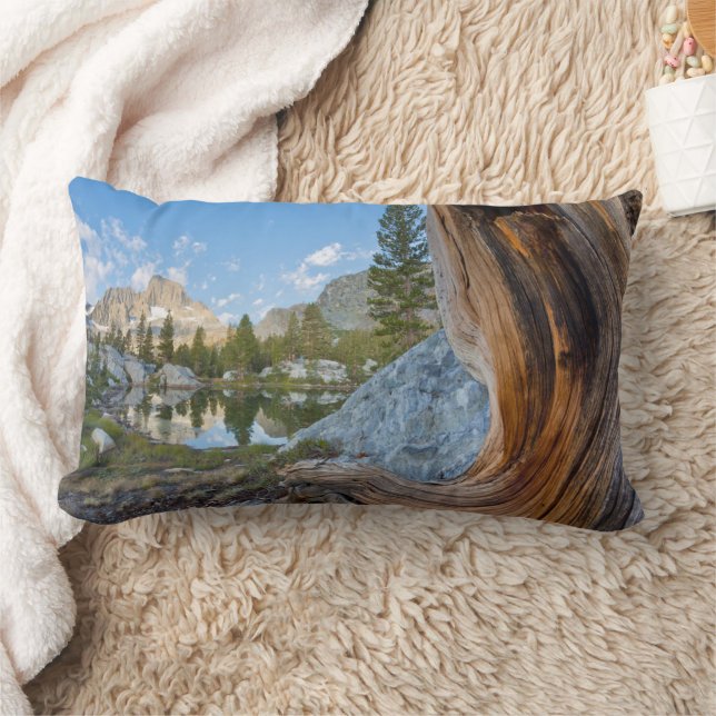 Coussin Rectangle Forêt nationale d'Inyo, Californie (Couverture)