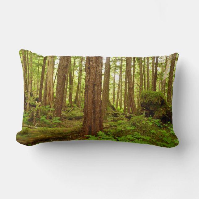 Coussin Rectangle Forêt pluviale tempérée d'Alaska (Recto)
