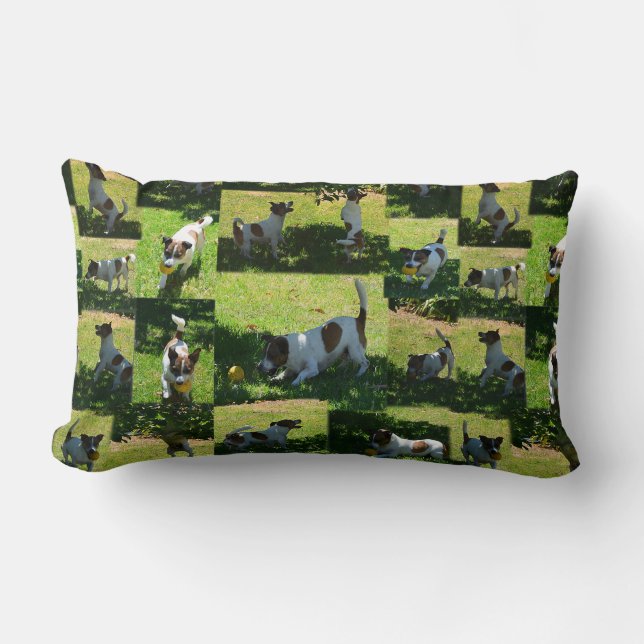 Coussin Rectangle Fox Terrier Jouer, Photo Collarge Lumbar Cushion. (Recto)