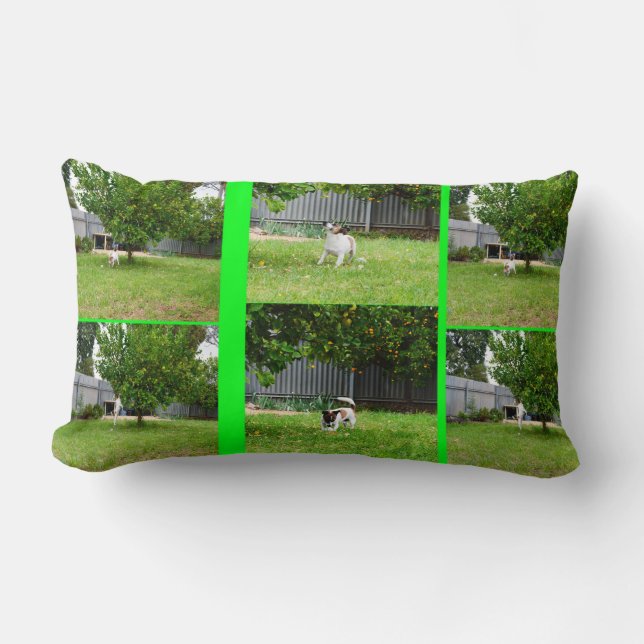 Coussin Rectangle Fox Terrier Photo Collage, Lumbar Cushion. (Recto)