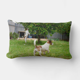Coussin Rectangle Fox Terrier Playtime, Lumbar Cushion
