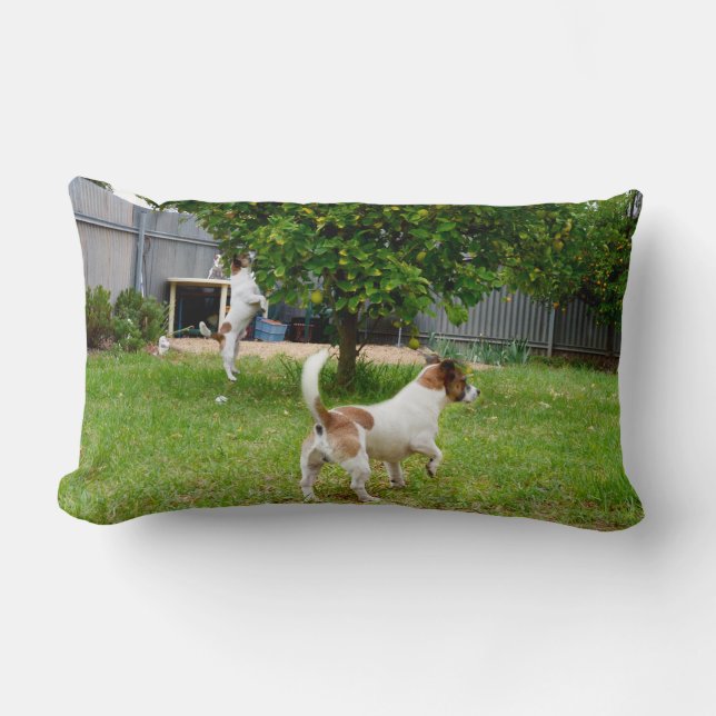 Coussin Rectangle Fox Terrier sautant dans un arbre, (Recto)