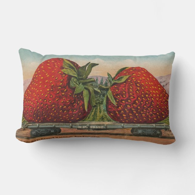 Coussin Rectangle Fraises Giant Fruit Antique Fruit Amusant (Recto)