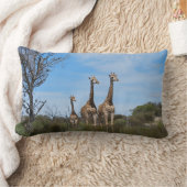 Coussin Rectangle Girafes dans Horizon Calme (Couverture)