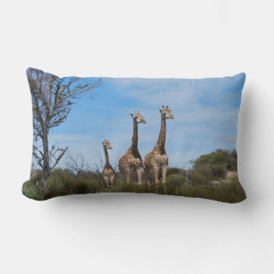 Coussin Rectangle Girafes dans Horizon Calme