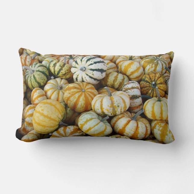 Coussin Rectangle Gourtes de récolte d'automne orange et vert (Recto)