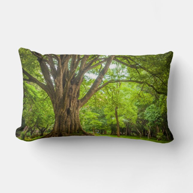 Coussin Rectangle Grand arbre dans le parc (Recto)