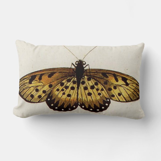 Coussin Rectangle Grand beau carreau orange de Lumbar de papillon (Recto)