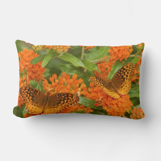Coussin Rectangle Great Spangled Fritillaries on Butterfly Milkweed (Recto)