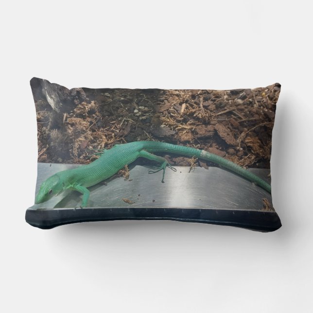 Coussin Rectangle Green Keel Bellied Lizard Pillow (Recto)