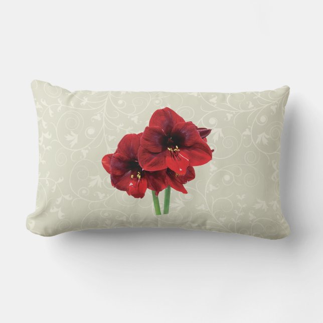 Coussin Rectangle Gros plan sur l'Amaryllis rouge (Recto)