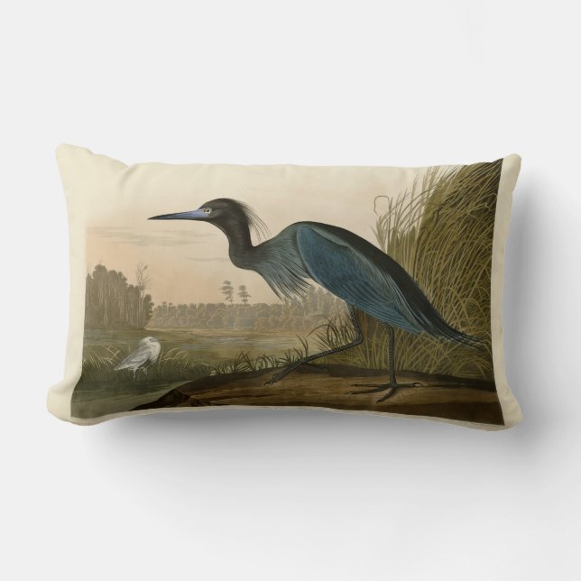 Coussin Rectangle Grue Bleue Heron Audubon Peinture (Recto)