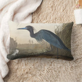Coussin Rectangle Grue bleue ou héron d'oiseaux d'Amérique (Couverture)