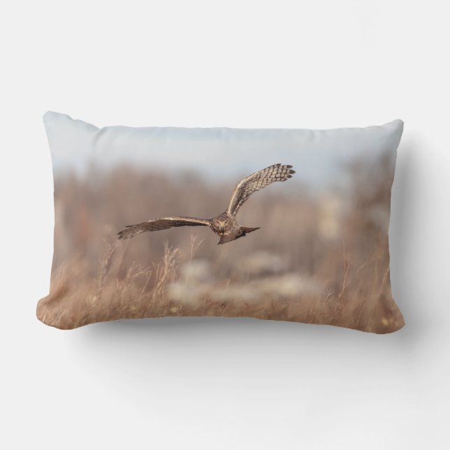 Coussin Rectangle Harrier du Nord (Recto)