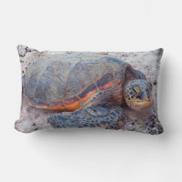 Hawaii Honu Sea Turtle Beach Photo Bold Modern