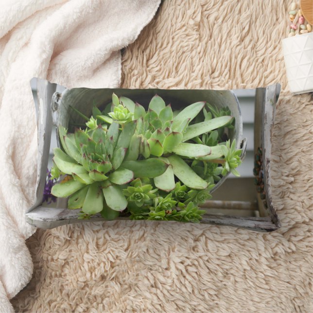 Coussin Rectangle Hens And Chicks Succulents In A Bucket   (Couverture)