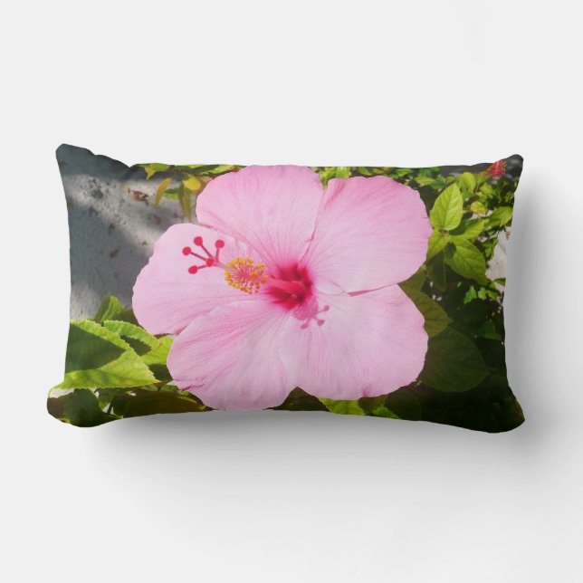 Coussin Rectangle Hibiscus rose Fleur tropicale (Recto)