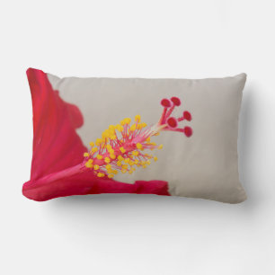 Coussin Rectangle Hibiscus rouge gros plan sur pistil et étamine