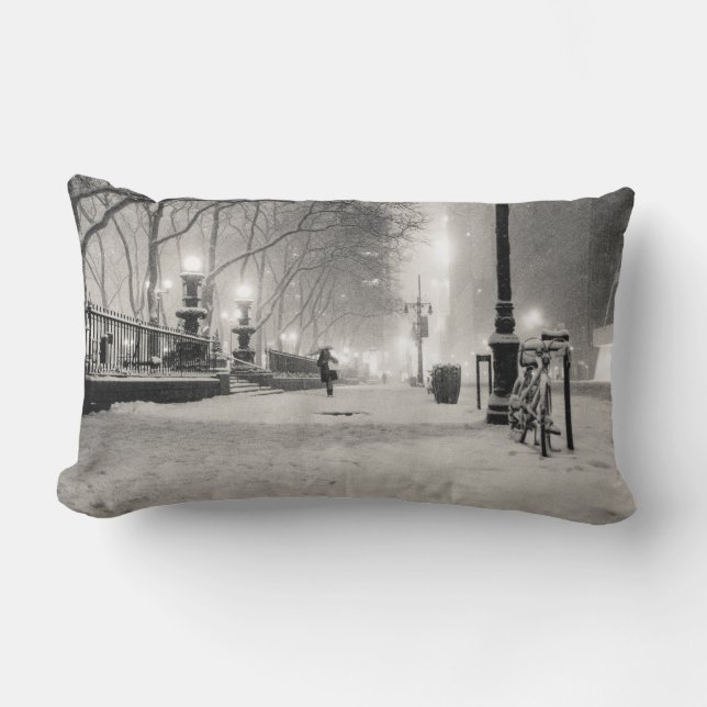 Coussin Rectangle Hiver de New York - nuit de Milou - parc de Bryant (Recto)