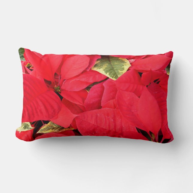 Coussin Rectangle Holly Point Poinsettias vacances Floral (Recto)