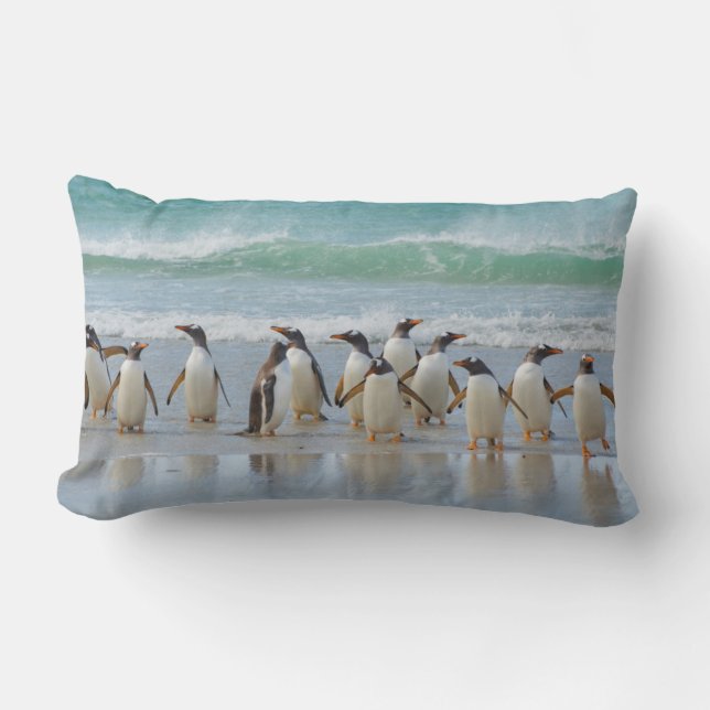 Coussin Rectangle Îles Falkland. Île Saunders. Gentoo (Recto)