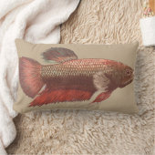 Coussin Rectangle Illustration de Betta (Couverture)