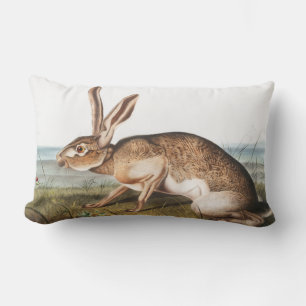 Coussin Rectangle Illustration de lapin Lièvre texan (Lepus Texianus