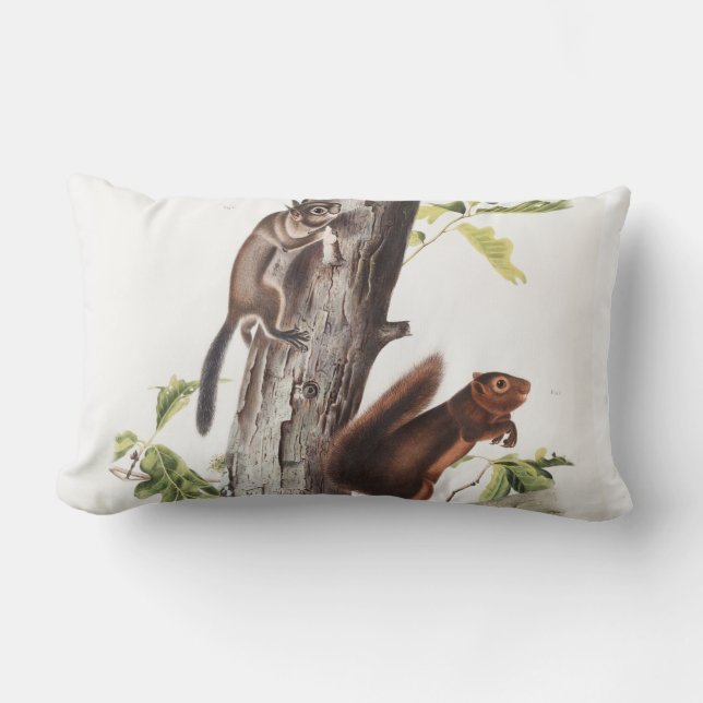 Coussin Rectangle Illustration de l'écureuil et de l'écureuil de soi (Recto)