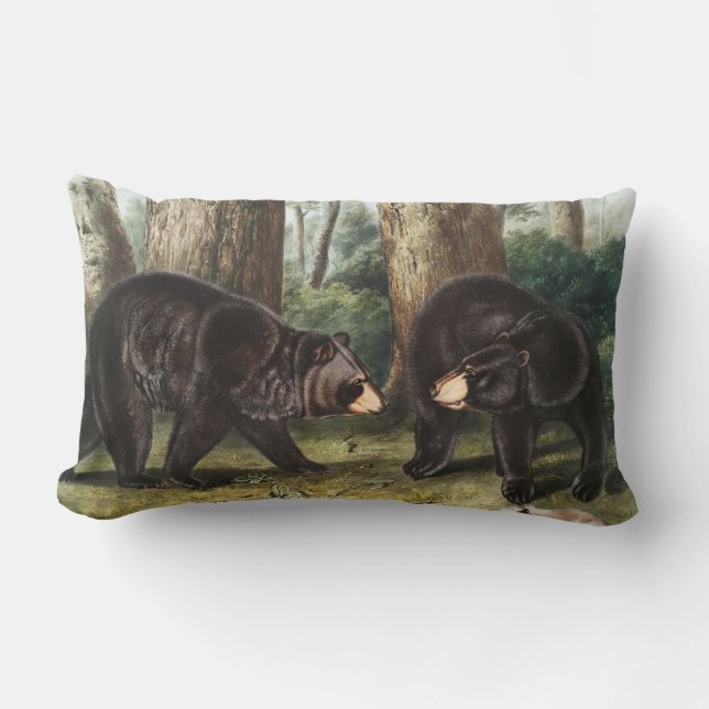 Coussin Rectangle Illustration de l'ours noir américain Ursus Americ (Recto)