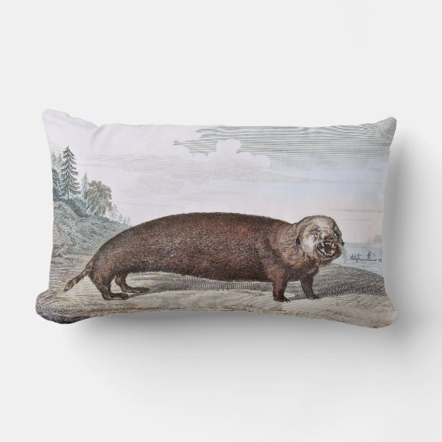 Coussin Rectangle Illustration de loutre de mer (Recto)